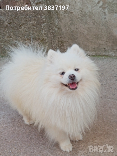 мъжки със всичко необходимо за момента , снимка 1