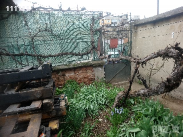 Лоза става за декорация за игра и катерене на котки , снимка 11 - Други стоки за дома - 32531302