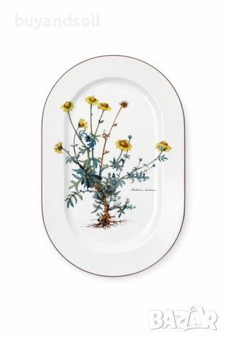 Villeroy & Boch Botanica чаши чинии