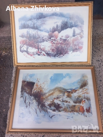 две картини рамкирани под хелеоматично стъкло