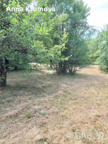 Къща с голям двор в с Туден, община Годеч, Софийска област , снимка 5 - Къщи - 53439466