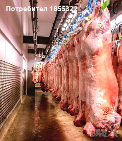 Работа във Великобритания 