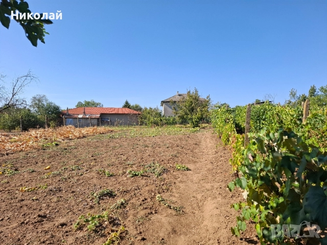 Имот в с. Калипетрово 1194 кв.м., снимка 8 - Парцели - 51746563