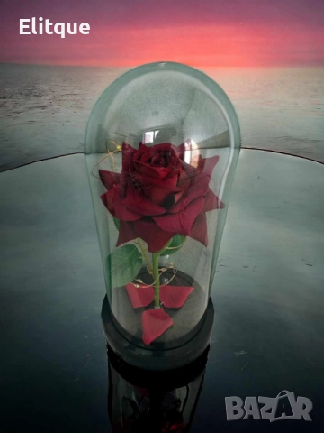 Красива осветена роза в стъкленица с красива подаръчна кутия