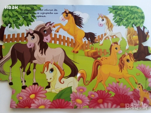 Картинна книжка "Научавам за домашните любимци", снимка 5 - Детски книжки - 51500017