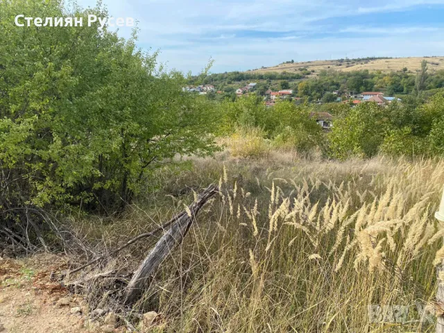 с. Калипетрово имот 1191кв.м / градина / парцел / терен , област Силистра -цена 11 000лв на 100м от , снимка 14 - Парцели - 49801270