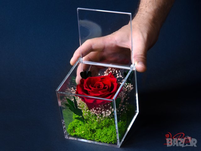 Естествена Вечна Роза в Акрилна Кутия / Уникален Подарък за Рожден Ден / Жива Вечна Роза в Кутия, снимка 7 - Подаръци за жени - 43749115