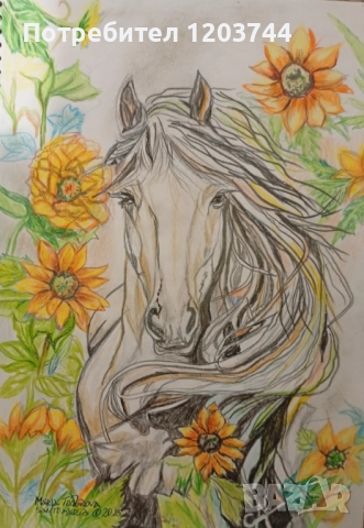Картини с коне (молив) 