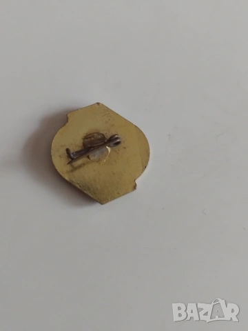 Значка, снимка 2 - Колекции - 53599138