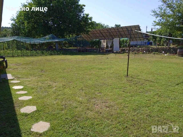 Косене и поддръжка на трева и храсти , снимка 4 - Други почистващи услуги - 53254278