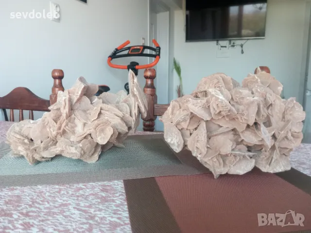 Огромни и прекрасни Пустинни рози-Сахара.Обявената цена е за двете и не подлежи на коментар.