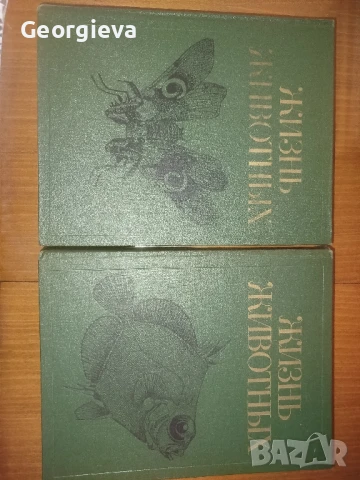 енциклопедия жизнь живот ни, снимка 3 - Енциклопедии, справочници - 51382271