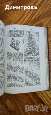 Речникъ на свето-то писанlе. Цариградъ-1884г, снимка 10 - Художествена литература - 53206600