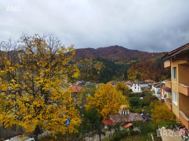 Продава етаж от къща в гр.Смолян, снимка 3 - Апартаменти - 52178450