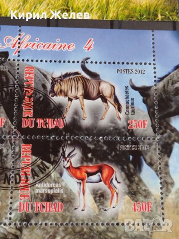 Пощенски марки  чиста комплектна серия ЖИВОТНИ поща Република Чад за колекция 29538, снимка 8 - Филателия - 37780459