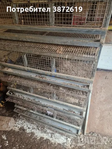 Клетки за пъдпъдъци, снимка 3 - За птици - 48926182