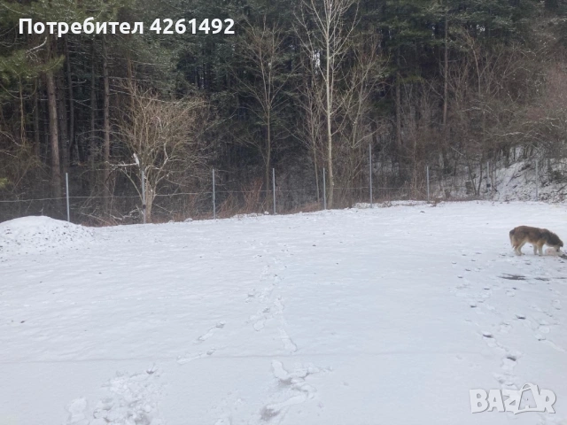 Давам под наем оборудван автосервиз, снимка 5 - Други - 53193672