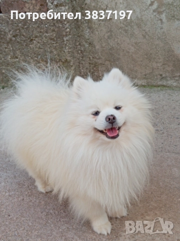 мъжки със всичко необходимо за момента 