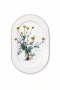 Villeroy & Boch Botanica чаши чинии, снимка 1
