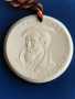 МЕДАЛ ОТ МАЙСЕНСКИ ПОРЦЕЛАН - ГЕРМАНИЯ, снимка 2