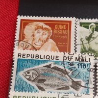Пощенски марки смесени серий от цял свят ЖИВОТНИ много красиви за КОЛЕКЦИЯ 22585, снимка 6 - Филателия - 40444576