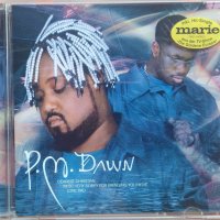 P.M. Dawn (1998, CD) Dearest Christian, I'm So Very Sorry For Bringing You Here. Love, Dad, снимка 1 - CD дискове - 40824168
