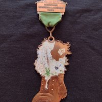Рядък медал Германия INTERNAT WINTER WANDERUNG 1973 , година за колекция - 35801, снимка 1 - Антикварни и старинни предмети - 34607442
