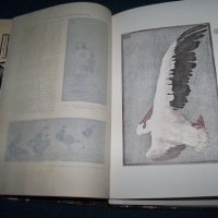 Шест броя на "The Studio" списание за изящни изкуства от 1911г., снимка 13 - Списания и комикси - 27656963