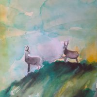Картина : Диви кози - акварел, снимка 1 - Картини - 43018496