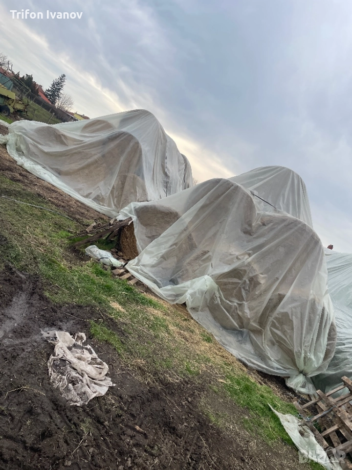 Бали, снимка 1