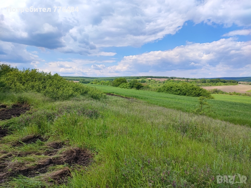 Парцел в с. Болярци, снимка 1