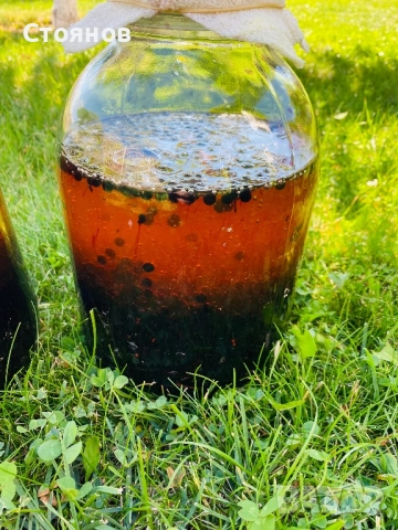 Сироп черен бъз с мед, бъзак с мед, снимка 2 - Други - 51738820