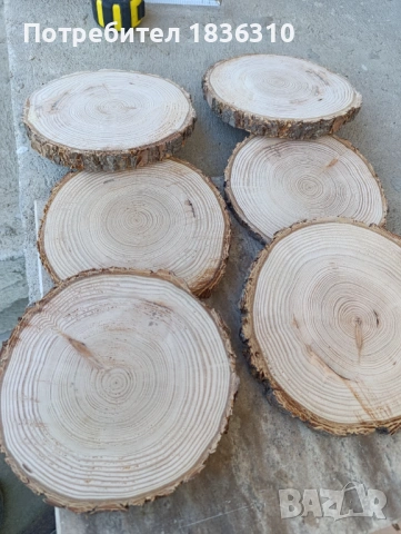 Дървени шайби бор