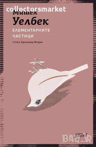 Елементарните частици