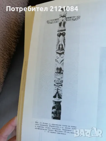 Художествено обработване на дървото Вацлав Шеди , снимка 9 - Специализирана литература - 49233977