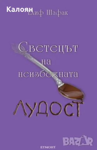 Елиф Шафак - Светецът на неизбежната лудост (2013), снимка 1 - Художествена литература - 29680570