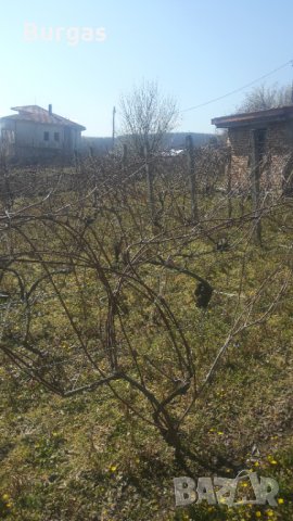 Продавам къща с двор в с.Изгрев общ.Царево, снимка 8 - Къщи - 31667179