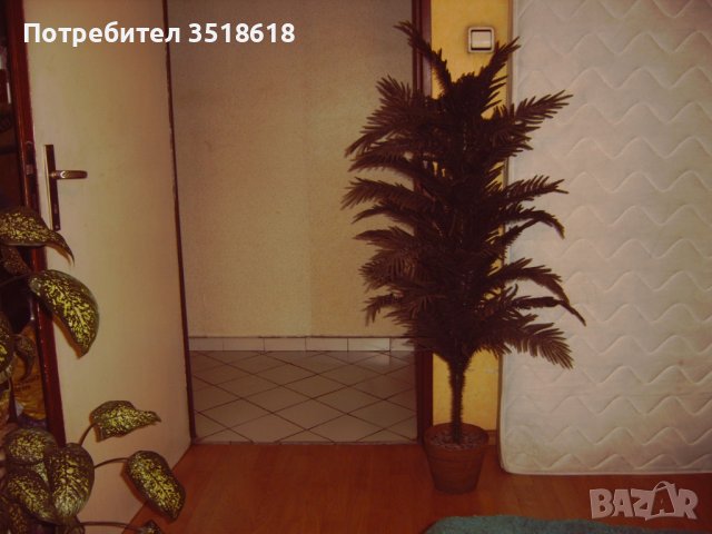 Кашпи за цветя, снимка 9 - Изкуствени цветя - 38864001