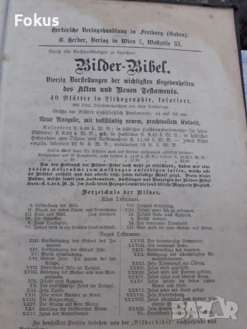 МНОГО СТАРА НЕМСКА БИБЛИЯ 1887 ГОДИНА, снимка 10 - Антикварни и старинни предмети - 53479194
