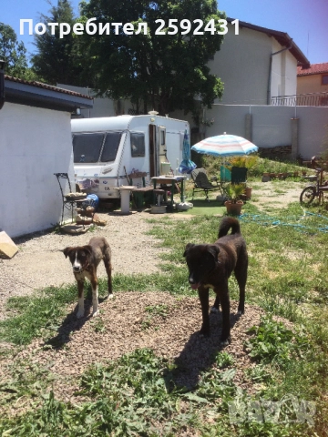 Парцел готов за строеж , снимка 5 - Парцели - 51461573