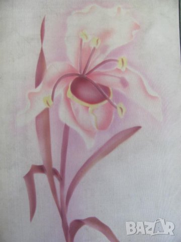 Винтич Фото Албум с Ръчно Рисувана Корица, снимка 3 - Антикварни и старинни предмети - 44030782