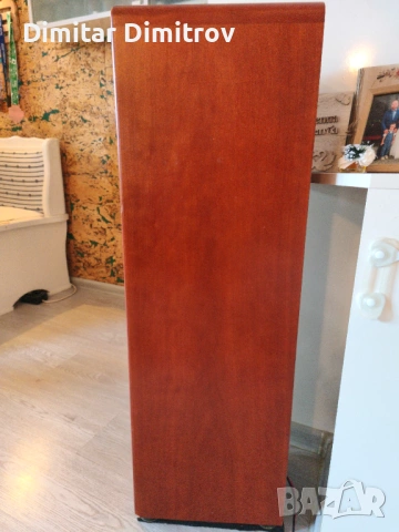 Аудиофилски тонколони Canton Ergo RC-S – Като нови, Първи собственик, Real Wood, снимка 3 - Тонколони - 53595589