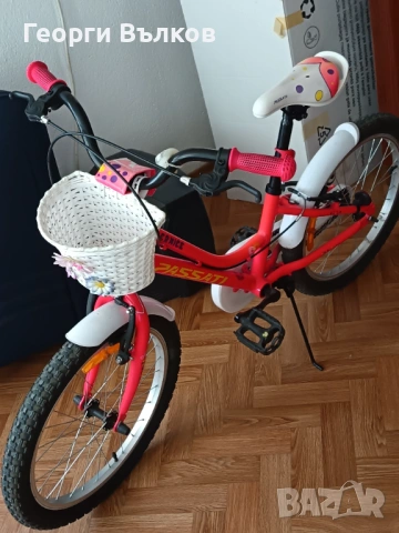 Детски велосипед Passati Bernice 20'', снимка 2 - Велосипеди - 53212008