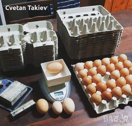 разплодни/оплодени яйца от Ломан Браун носачки , снимка 7 - Кокошки и пуйки - 43634220