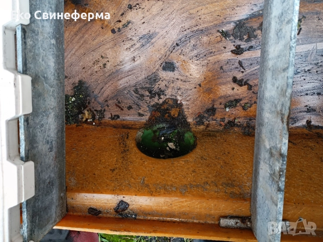 Повдигнат бокс свине майки лактиращи/млекарски/ - раждане и бозайници. , снимка 3 - Прасета - 51878042