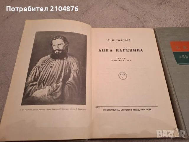 Анна Каренина / Ана Каренина на руски език, снимка 3 - Художествена литература - 48200897