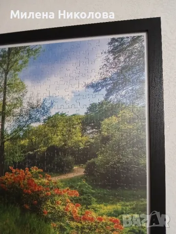Пъзел картина 50/70, снимка 4 - Картини - 50049637