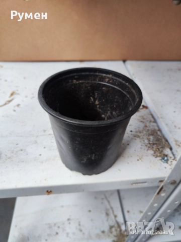 Кофички за разсад, снимка 4 - Градински цветя и растения - 51921215