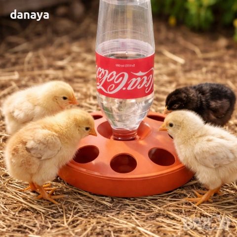 6424 Поилка за малки пиленца с навиване на бутилка, снимка 4 - За птици - 53534223