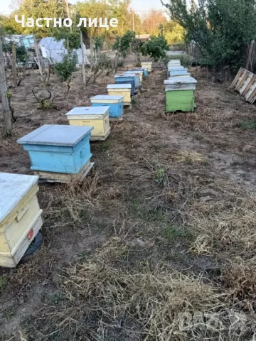 Продавам пчелни сандъци, снимка 1